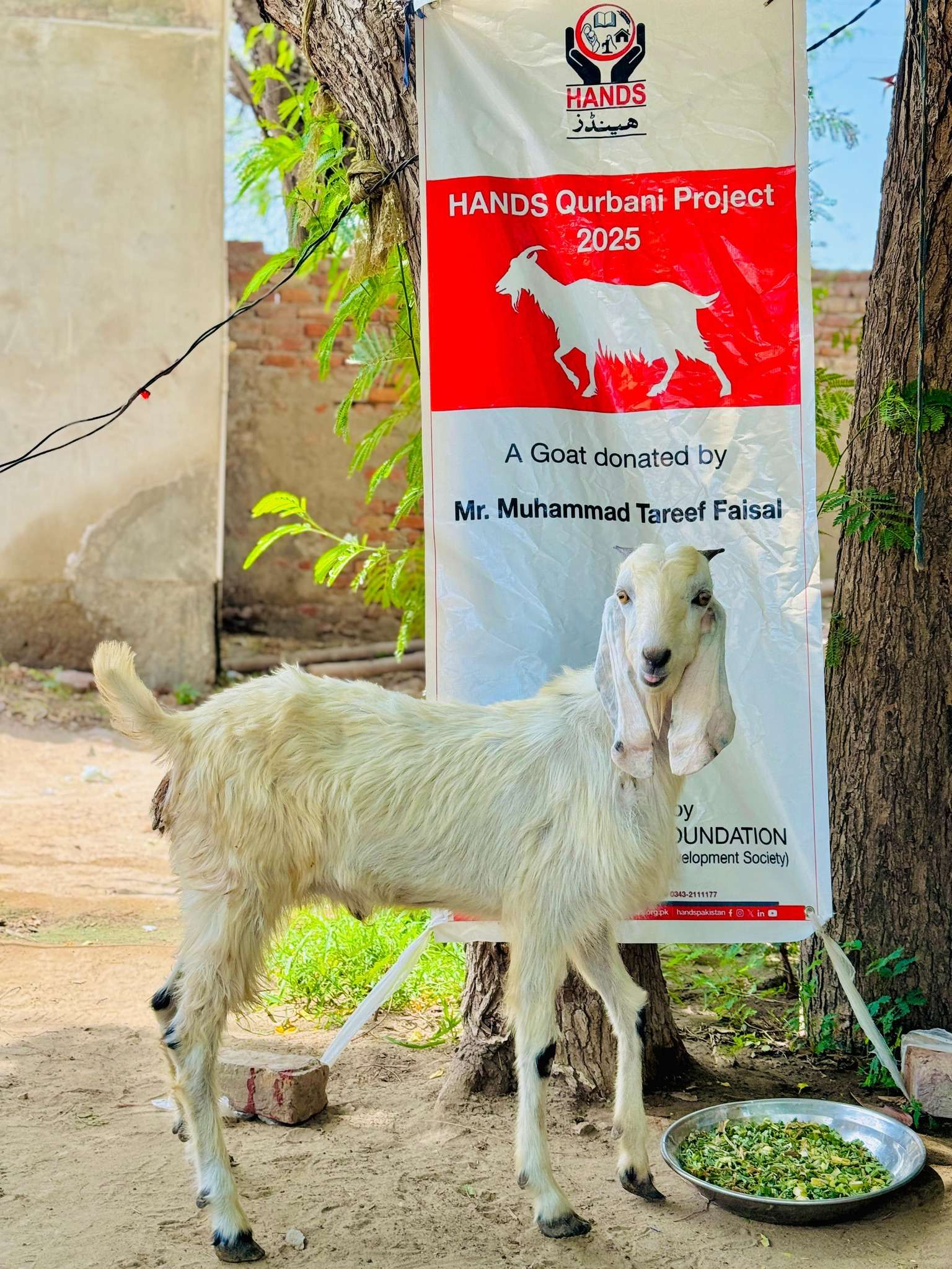 Eid-ul-Adha-08