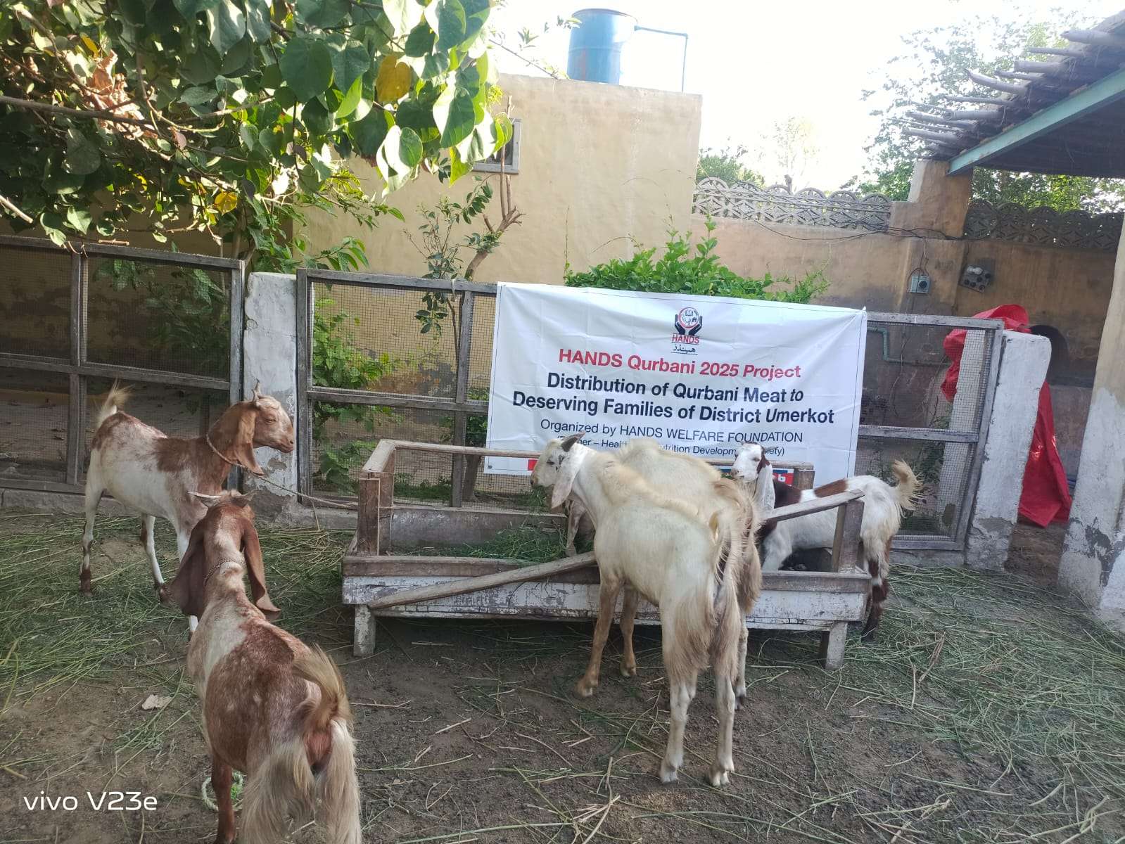 Eid-ul-Adha-09